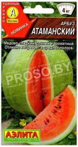 Арбуз Атаманский