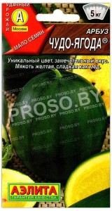 Арбуз Чудо-ягода