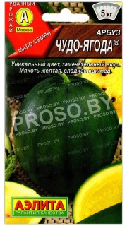 Арбуз Чудо-ягода