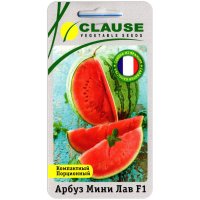 Арбуз Мини лав F1