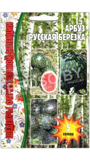 Арбуз Русская березка