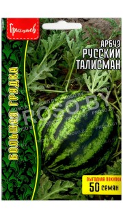 Арбуз Русский талисман