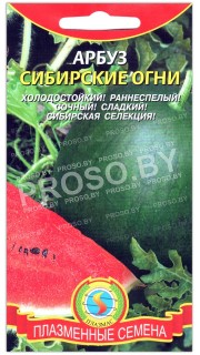 Арбуз Сибирские огни