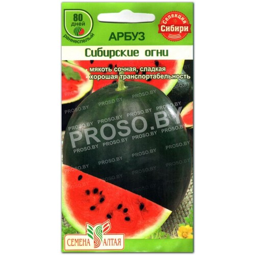 Арбуз Сибирские огни-1