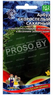 Арбуз Скороспелый сахарный