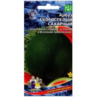 Арбуз Скороспелый сахарный