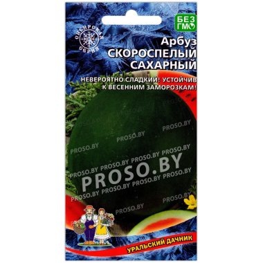 Арбуз Скороспелый сахарный