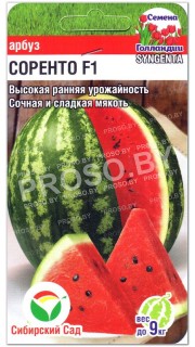 Арбуз Соренто F1