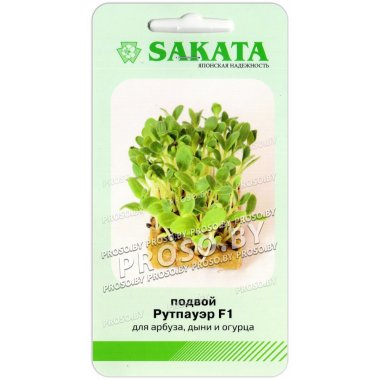 Подвой Рутпауэр F1