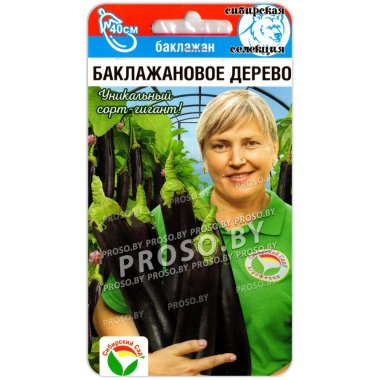 Баклажан Баклажановое дерево