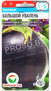 Баклажан Большой увалень