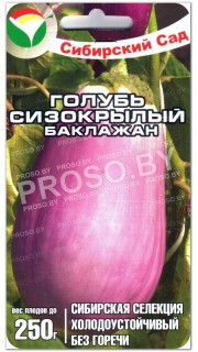 Баклажан Голубь сизокрылый
