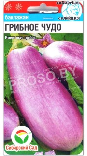 Баклажан Грибное чудо