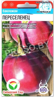 Баклажан Переселенец