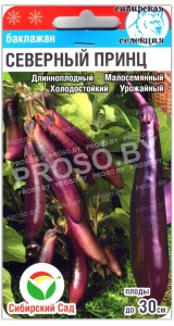 Баклажан Северный принц