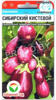 Баклажан Сибирский кистевой