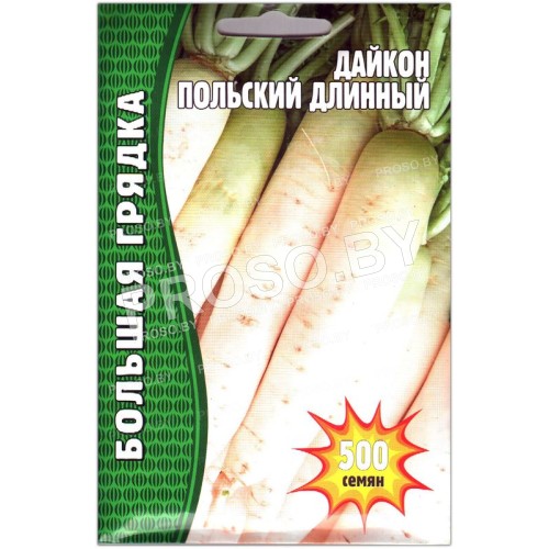 Дайкон Польский длинный
