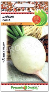 Дайкон Саша