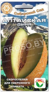 Дыня Алтайская