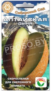 Дыня Алтайская