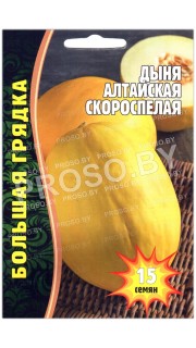 Дыня Алтайская скороспелая