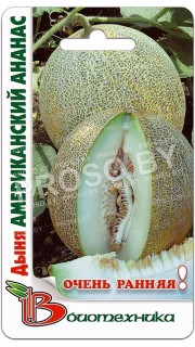 Дыня Американский ананас