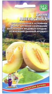 Дыня Апельсинка
