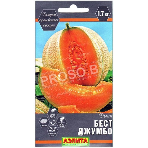 Дыня Бест Джумбо