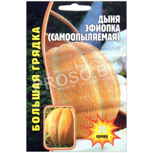Дыня Эфиопка-1