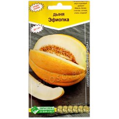 Дыня Эфиопка