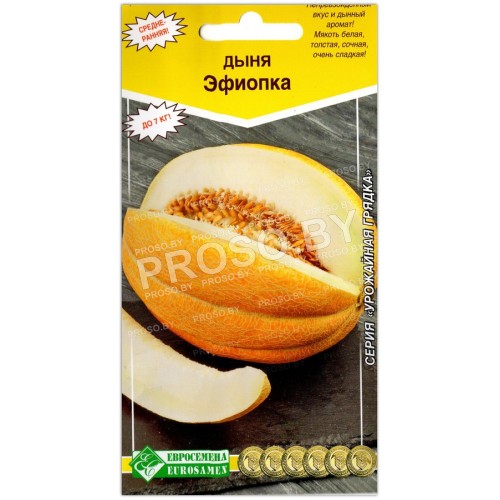 Дыня Эфиопка