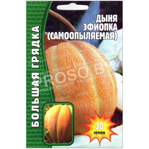 Дыня Эфиопка-2