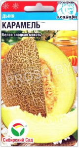 Дыня Карамель