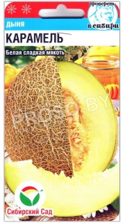 Дыня Карамель