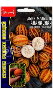 Дыня малышка Ананасная