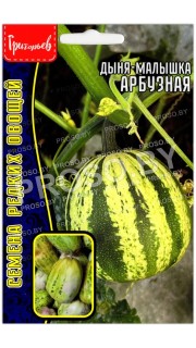 Дыня малышка Арбузная