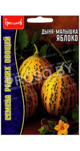 Дыня малышка Яблоко