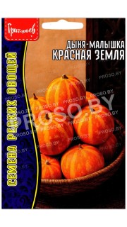 Дыня малышка Красная земля