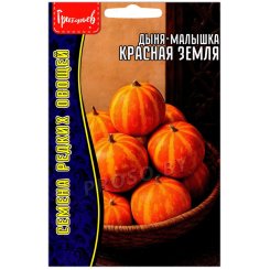 Дыня малышка Красная земля