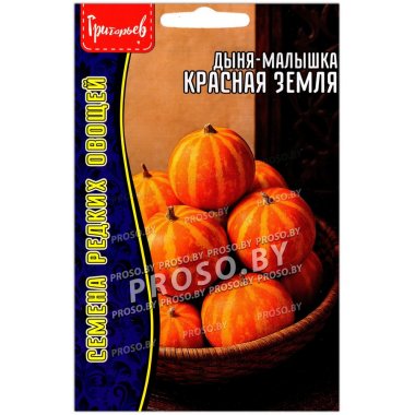 Дыня малышка Красная земля
