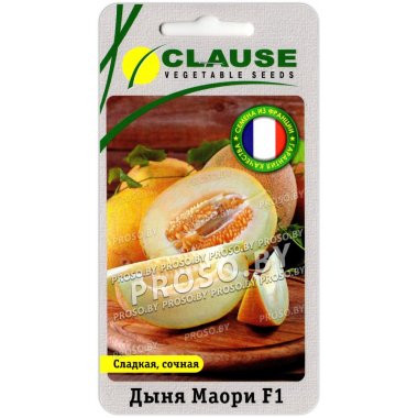 Дыня Маори F1