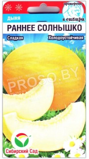 Дыня Раннее солнышко