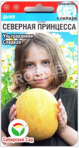 Дыня Северная принцесса