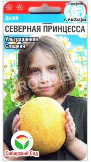 Дыня Северная принцесса