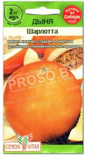 Дыня Шарлотта