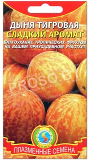 Дыня тигровая Сладкий аромат