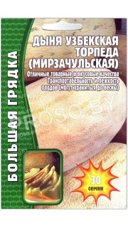 Дыня узбекская Торпеда (мирзачульская)