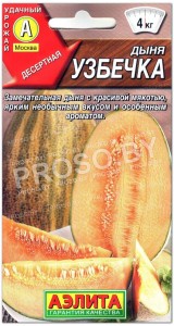 Дыня Узбечка