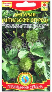 Ангурия (антильский огурец)