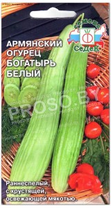 Армянский огурец Богатырь белый